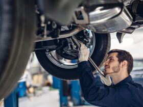 Professional Mechanic